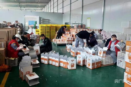甘肅靜寧 工廠建在家門口 增收致富不用愁