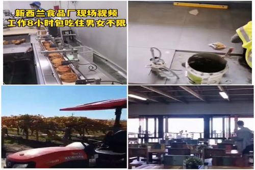 昌都澳大利亞出國(guó)打工急招工廠(chǎng)普工包裝工司機(jī)年薪50萬(wàn)